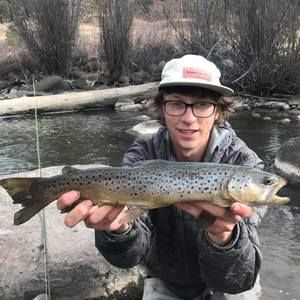 Meet your Posher, Robin